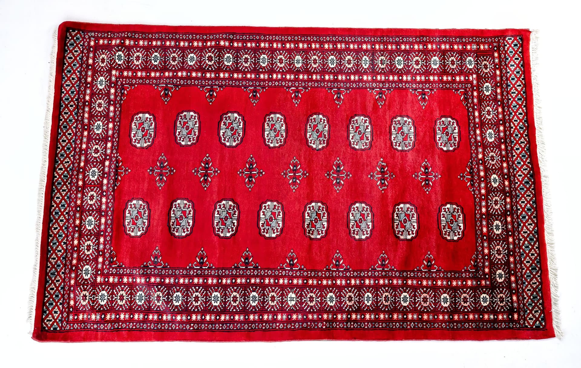 Pakistani Red Bukhara — Elephant's Foot — photograph