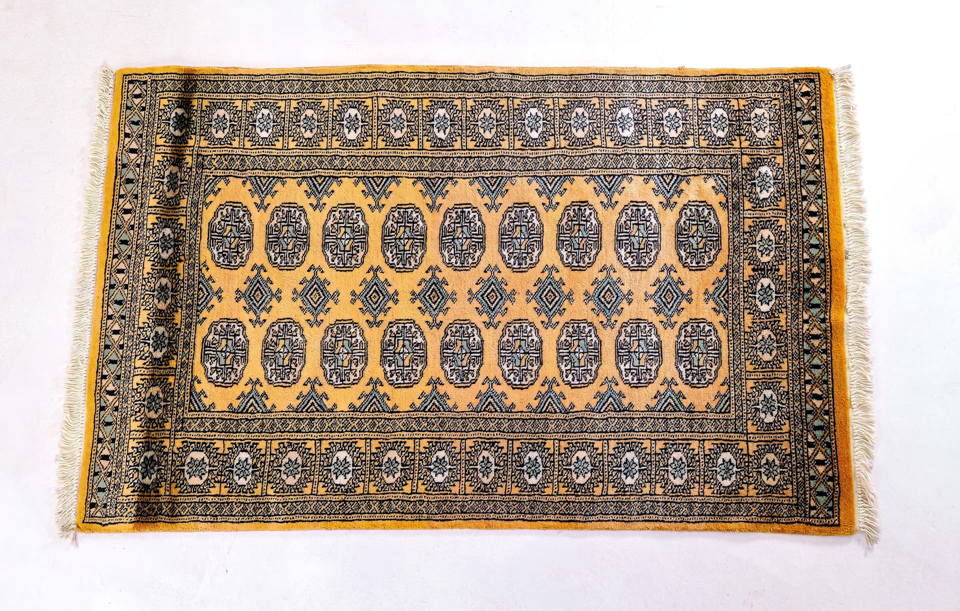 Pakistani Golden Yellow Bukhara — photograph