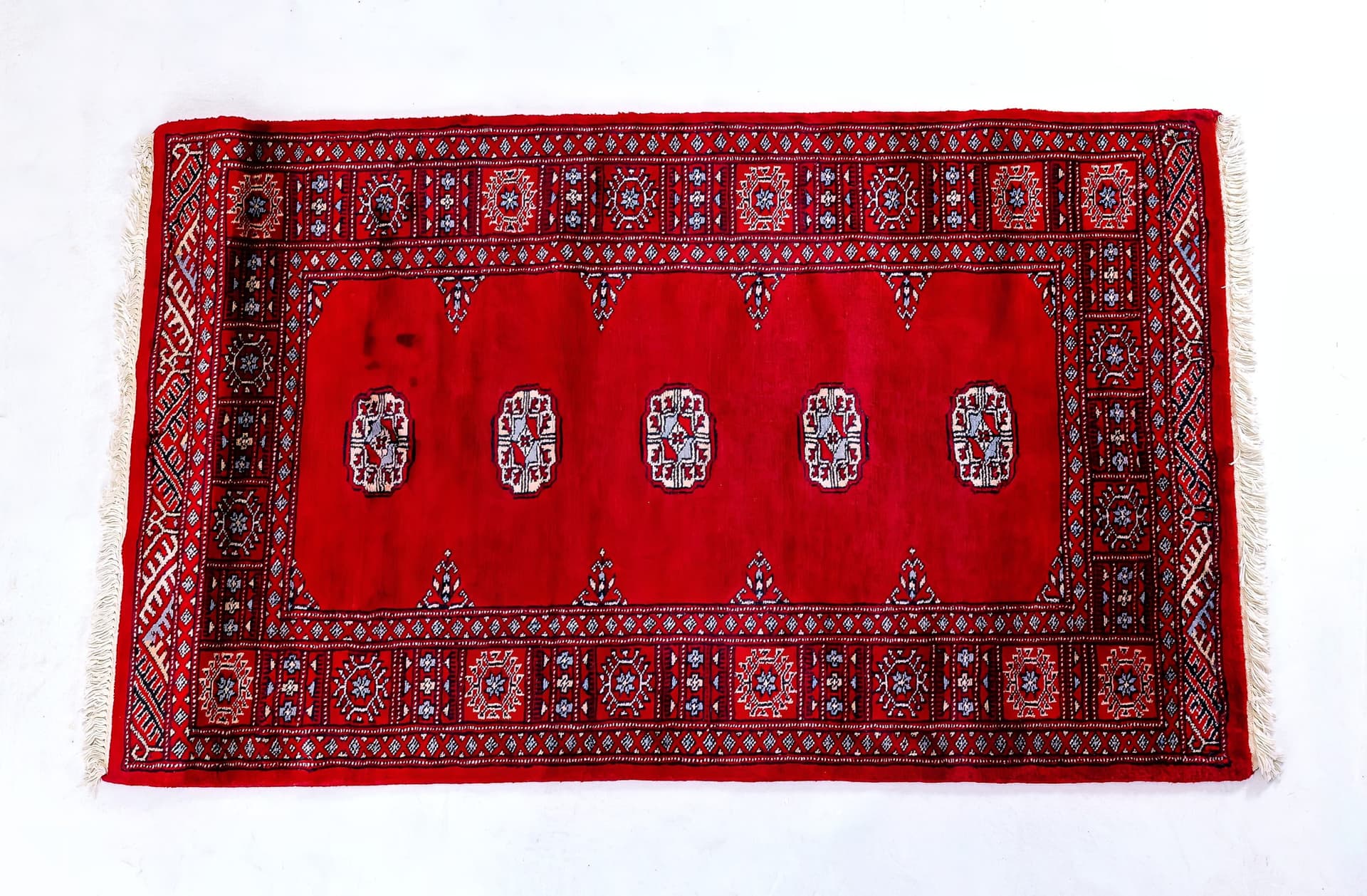 Red Bukhara — Elephant's Foot — photograph