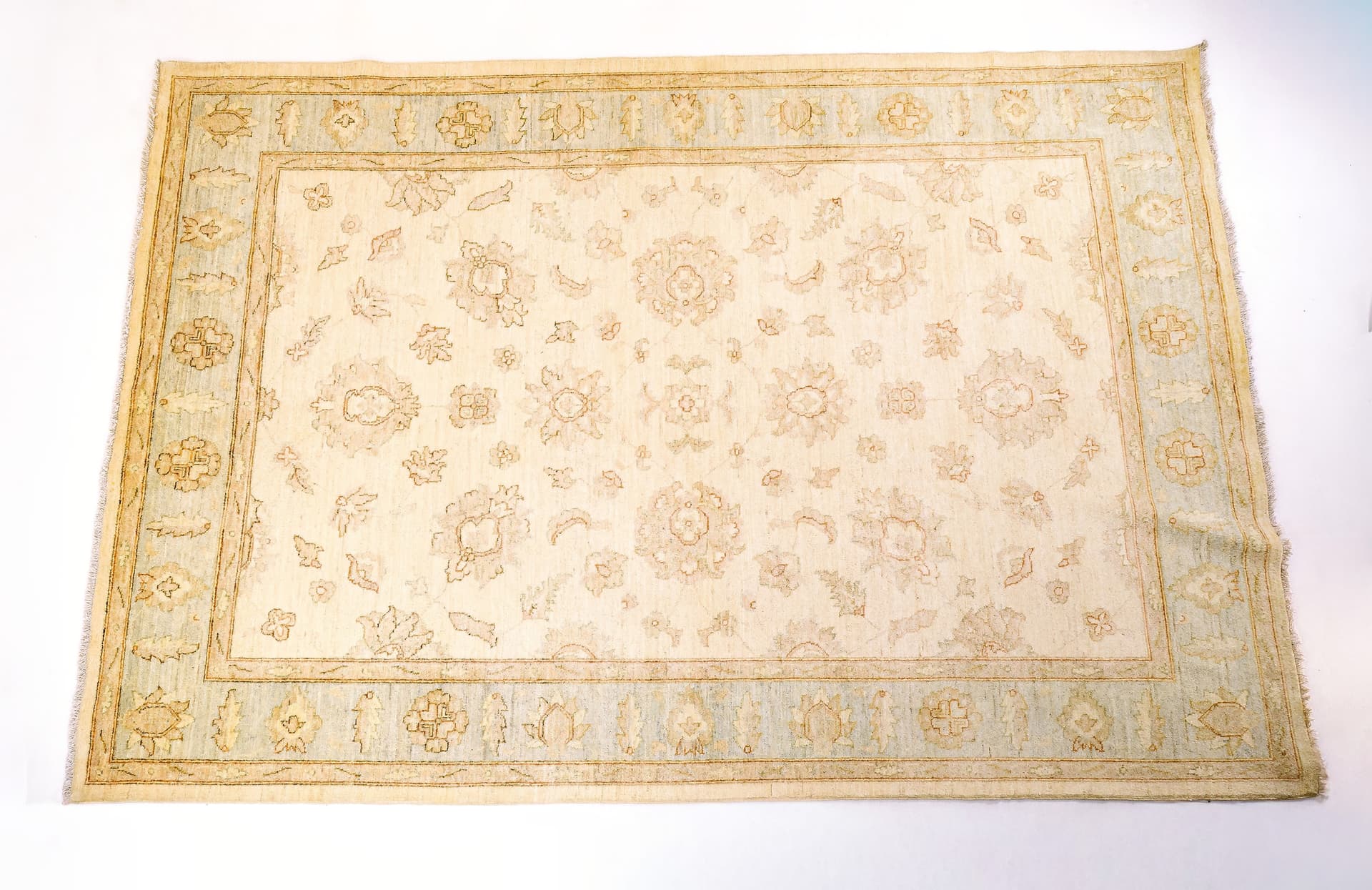 Afghan Royal Zigler — photograph