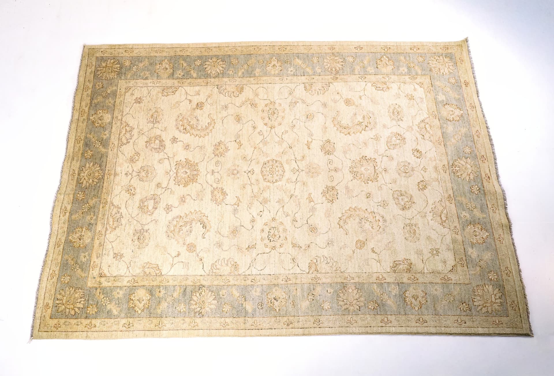 Afghan Royal Ziegler — photograph
