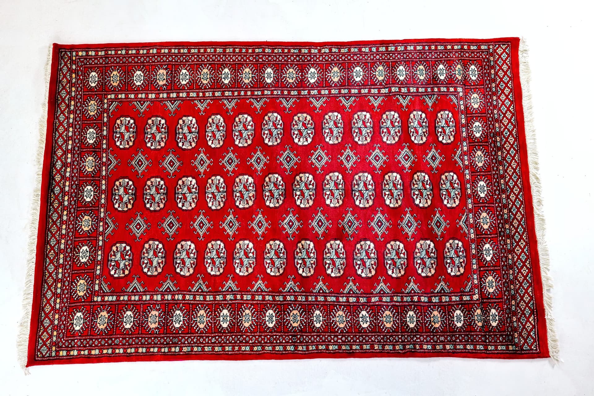 Red Pakistani Bukhara — photograph