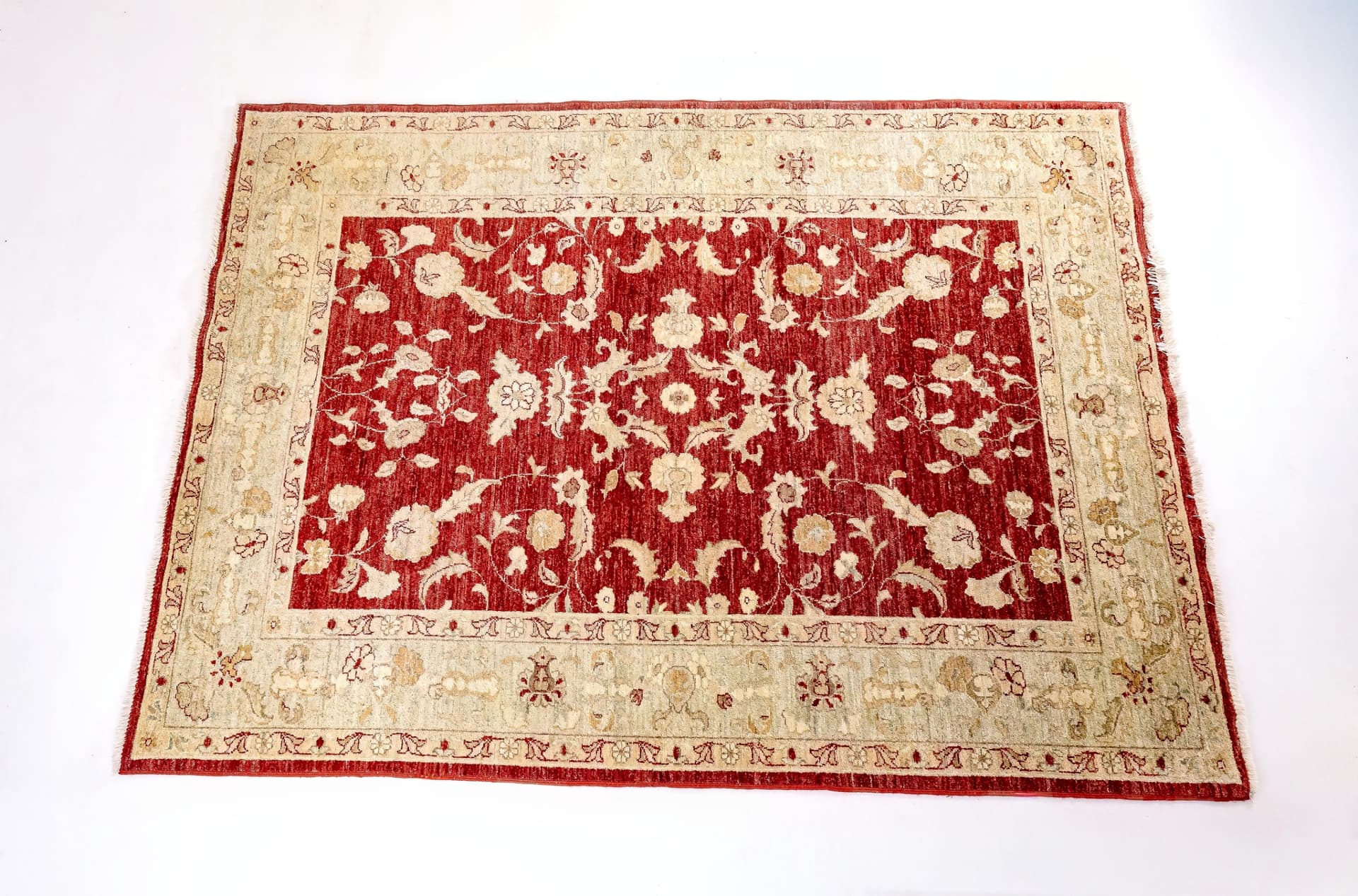 Afghan Royal Ziegler — photograph 1