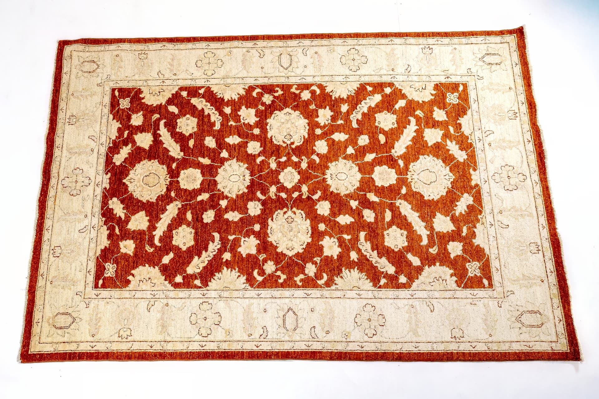 Afghan Chobi Royal Zigler — photograph